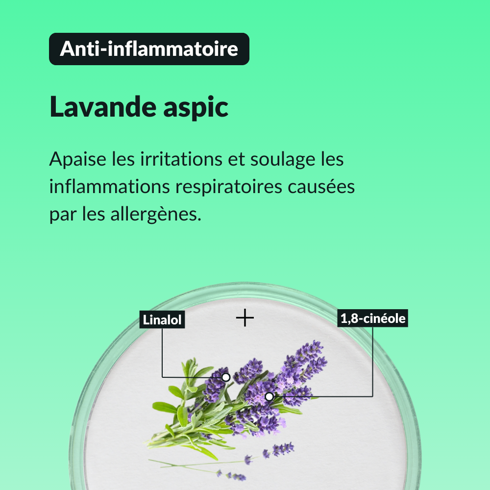 Sérum Respiration Libérée