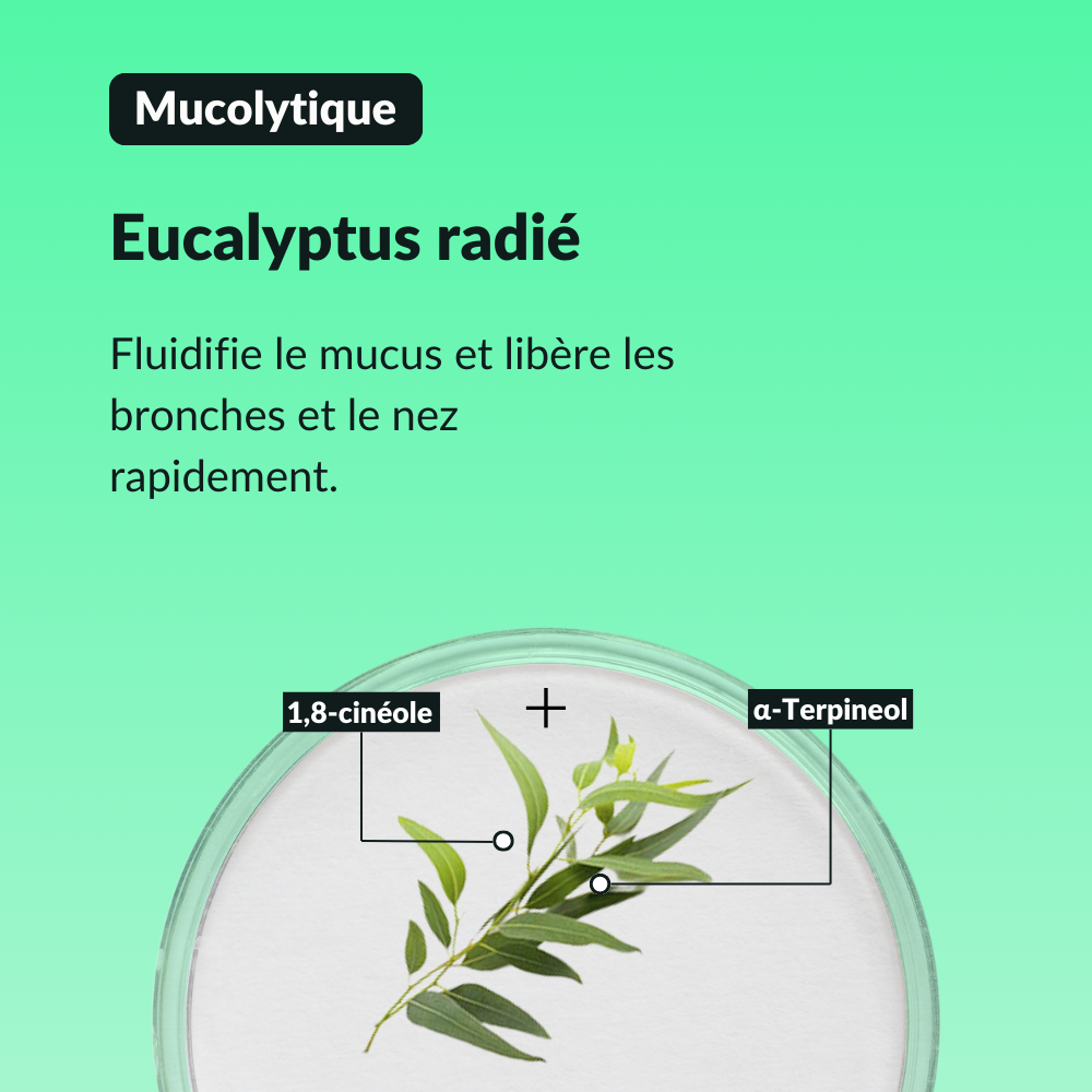 Sérum Respiration Libérée