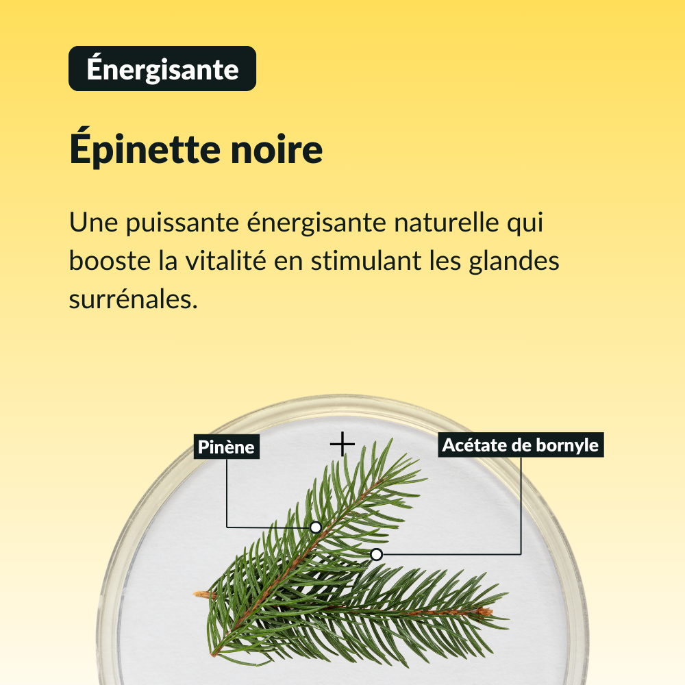 Sérum Énergie