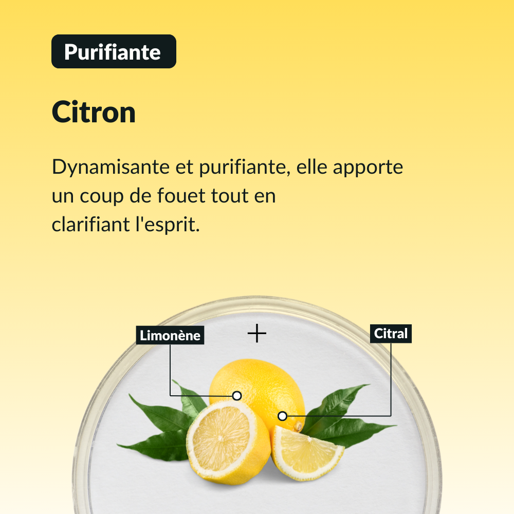 Sérum Énergie