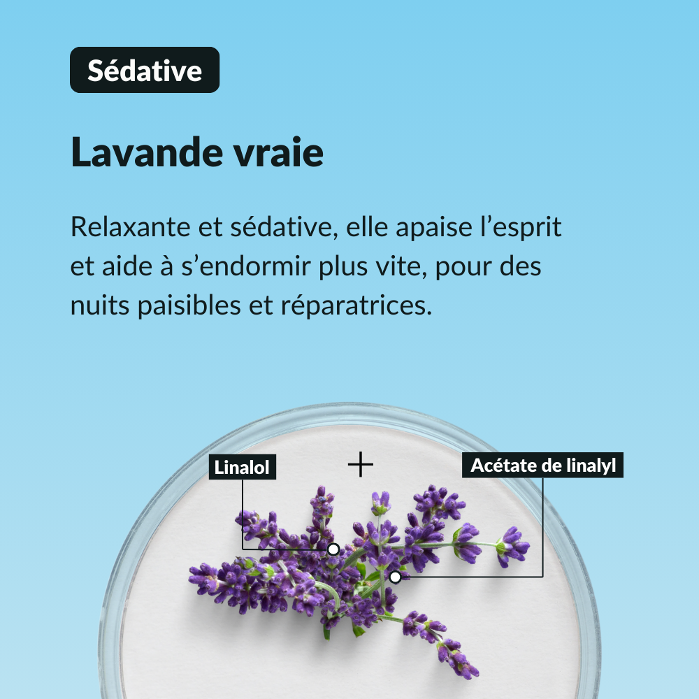 Sérum Sommeil