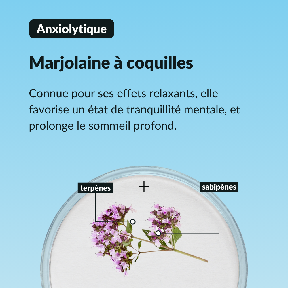 Sérum Sommeil