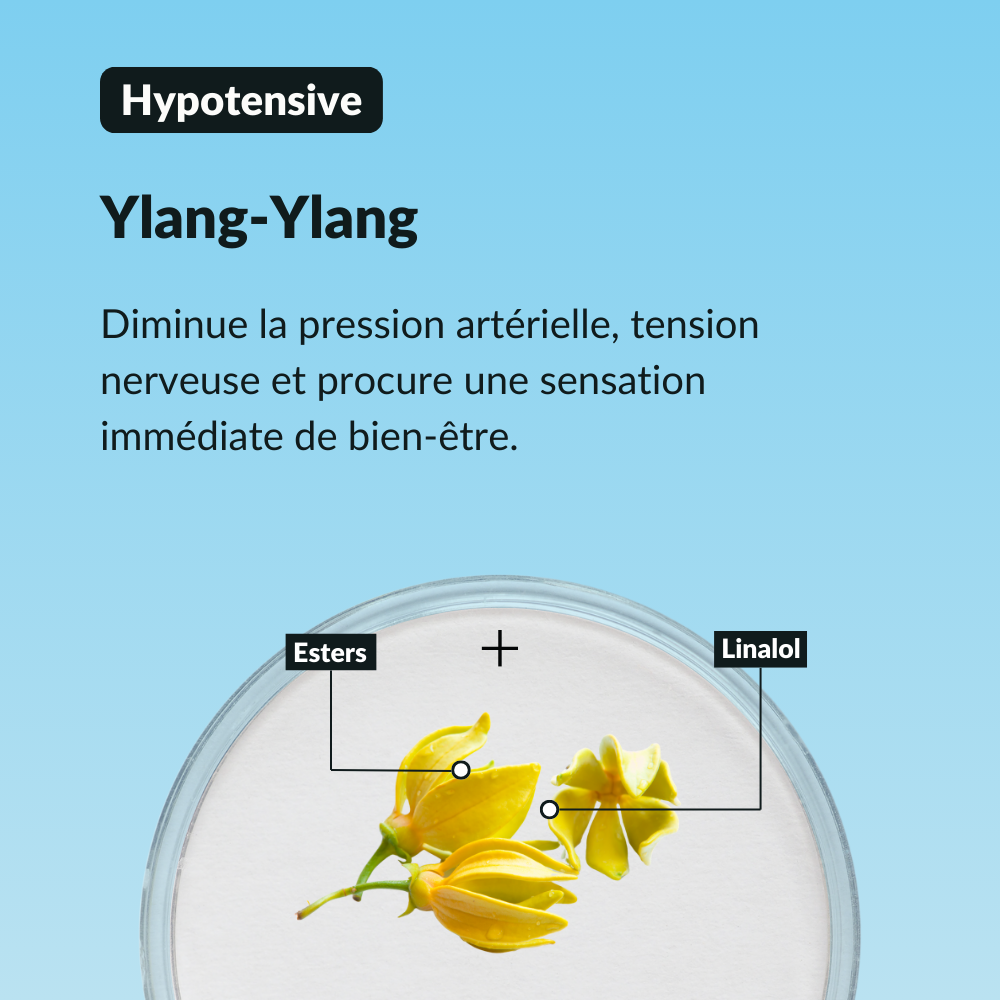 Sérum Sommeil Profond